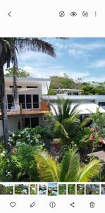 a picture of a house with a palm tree and plants at Casa Boa Casita in La Abuela