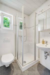 a bathroom with a shower and a toilet and a sink at Moderne Traumwohnung mit Traumgarten in Mayen +11 photos