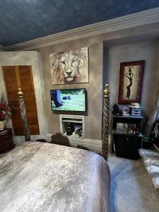 Gallery image of Enjoy An African Adventure In The Heart Of Swansea in Swansea