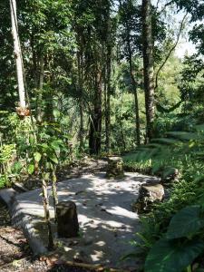 Příroda nedaleko penzionu