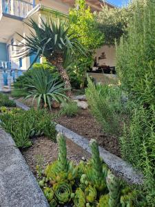 Φωτογραφία από το άλμπουμ του Apartment Antolica σε Anić +13 φωτογραφίες