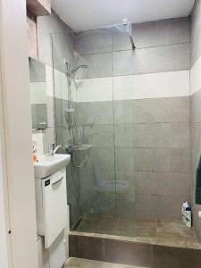 een badkamer met een glazen douche en een wastafel bij Oty Residence Iasi in Iaşi