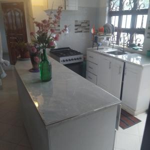 a kitchen with a counter with a vase with flowers on it at Hellena house in Nanyuki