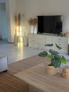 a living room with a tv and a potted plant at Akasha Villa in Madīnat ash Shurūq