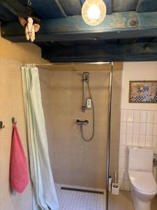 een badkamer met douche en toilet bij Sad u Harušťákov in Lubina +6 foto's