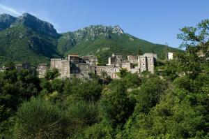 Příroda nedaleko apartmánu