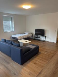 TV a/nebo společenská místnost v ubytování Erics Gästehaus