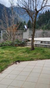 a group of birds walking on a sidewalk next to a tree at pavliani house in Pávliani