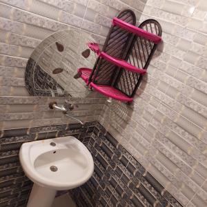 a bathroom with a pink bike on a brick wall at Shakazola Camp in Nuweiba