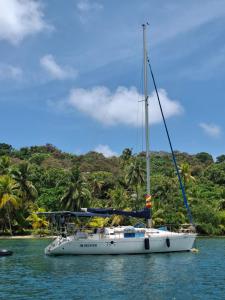 Příroda nedaleko ubytování na lodi