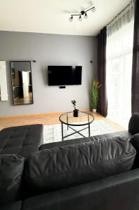 TV a/nebo společenská místnost v ubytování Meyben Apartment Mannheim Küche, TV, Waschmachine