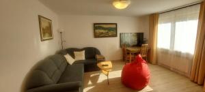 Μια τηλεόραση ή/και κέντρο ψυχαγωγίας στο Apart House ROJER