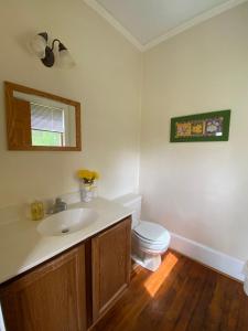 Vannituba majutusasutuses Inviting Cottage Rental on a Private Farm in Rileyville, Virginia +39 fotot