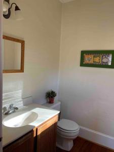 Vannituba majutusasutuses Inviting Cottage Rental on a Private Farm in Rileyville, Virginia