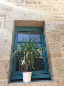 Φωτογραφία από το άλμπουμ του Chaumière des Dunes à 350m de la plage de Kerhillio σε Erdeven +19 φωτογραφίες