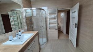 a bathroom with a sink and a shower with a mirror at Noclegi Pod Lasem in Kraków +7 photos