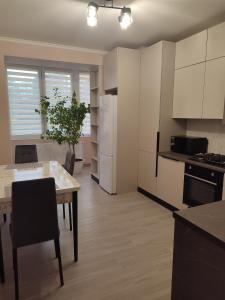 Kuchyň nebo kuchyňský kout v ubytování Квартира в центрі міста