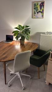 a wooden table with a potted plant and two chairs at Cozy personal flat in Differdange in Differdange