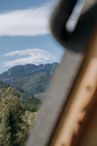 Naturlandskabet i nærheden af feriehuset