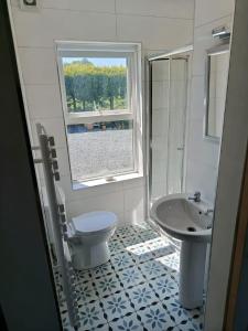 um banheiro com vaso sanitário, pia e janela em The Free Range Room at The Cracked Hen em Gorey mais 29 fotografias