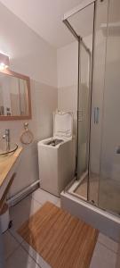 een badkamer met douche en toilet bij Evasion Tropicale in Saint-François