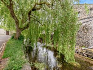 Příroda nedaleko prázdninového domu
