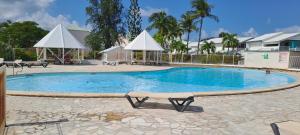 een groot zwembad in een tuin met bomen bij Evasion Tropicale in Saint-François +8 foto's