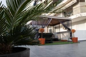a palm tree in a pot in front of a building at Comfort Zone - Spacious Apartment in Xanthi in Xanthi