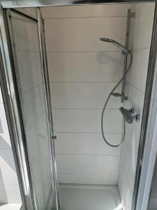 um chuveiro numa casa de banho com uma porta de vidro em The Free Range Room at The Cracked Hen em Gorey