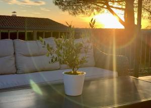 Η ανατολή ή δύση του ηλίου όπως φαίνεται από αυτός ο ξενώνας ή από εκεί κοντά