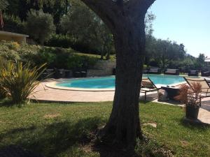 Πισίνα στο ή κοντά στο Le Residenze degli Ulivi +28 φωτογραφίες