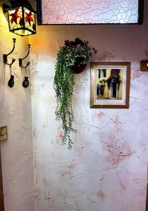 Φωτογραφία από το άλμπουμ του Have A Mediterranean Stay In Swansea Tonight στο Σουόνσι