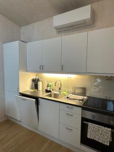 Kuchyň nebo kuchyňský kout v ubytování Cozy Riverside Loft Cabin in Oppaker, near Oslo