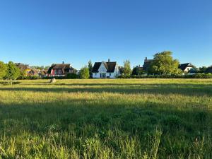 Příroda nedaleko prázdninového domu