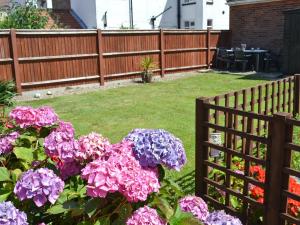 Zahrada ubytování Seasands