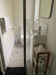 a bathroom with a toilet and a sink and a mirror at Govetts Leap lookout cottage with sauna in Blackheath +28 photos