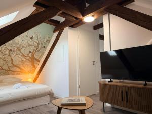 TV/trung tâm giải trí tại Bird Suite