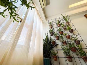 a bunch of potted plants on a wall next to a window at Brisas do Cabo Branco by Hosppedar in Tambaú