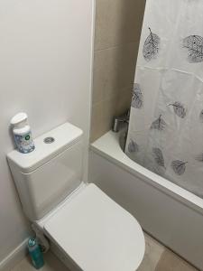 Un baño blanco con inodoro y ducha. en The Courtyard, en Navan