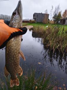 Φωτογραφία από το άλμπουμ του Glemuria σε Kętrzyn