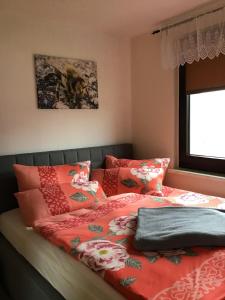 Un dormitorio con una cama con sábanas rojas y una ventana. en Auf Der Sonnenseite, en Zwota 17 fotos más