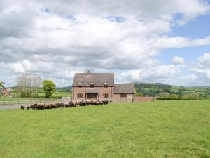 Příroda nedaleko prázdninového domu