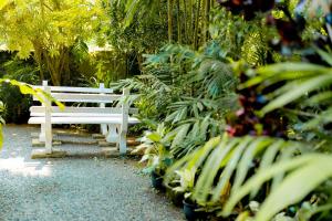 a row of white benches in a park with plants at Shasha House Bentota in Hettiwatta