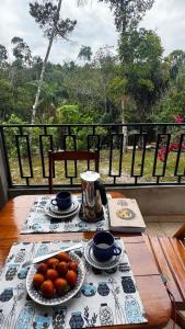 een tafel met een bord sinaasappels erop bij Refúgio na Floresta in Manaus