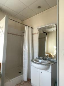a bathroom with a sink and a shower at Hôtel des Pyrénées in Laloubère