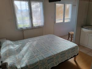 a bedroom with a bed and two windows at Hôtel des Pyrénées in Laloubère