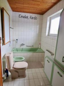 a bathroom with a green tub and a toilet and a sink at Rosental Privatunterkunft in Sankt Margareten im Rosental +60 photos