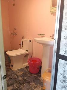 ein Badezimmer mit Toilette und Waschbecken in der Unterkunft Nirvana Beach Cottages in Canacona