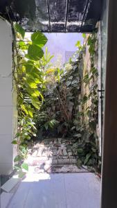 Сад в Casa Ibirapuera - Hospedagem