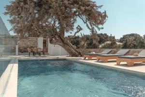Bazén v ubytování Ammolofos Luxury Apartment & suites nebo v jeho okolí + 45 fotografií